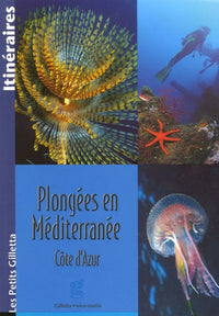 Plongées en Méditerranée : Côte d'Azur