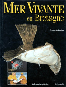 Mer vivante en Bretagne