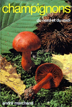 Champignons Du Nord Et Du Midi. Tome 7, Les Cortinaires