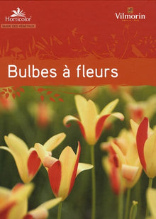 Guide des bulbes à fleurs