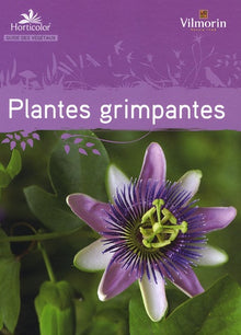 Guide des plantes grimpantes