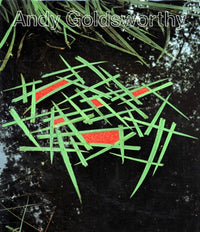 Andy Goldsworthy