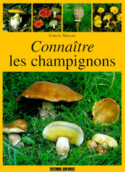 Les champignons