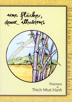 Une flèche, deux illusions