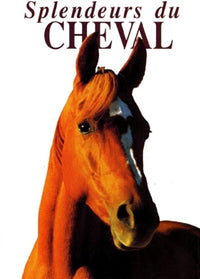splendeurs du cheval