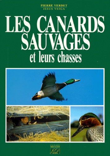 Les canards sauvages et leurs chasses
