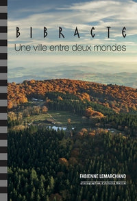 Bibracte, une ville entre deux mondes