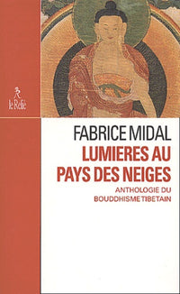 Lumières au pays des neiges