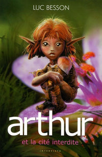 Arthur et les Minimoys (édition 2004), tome 2 : Arthur et la cité interdite