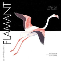 Flamant