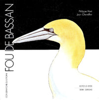 Les oiseaux du bord de mer