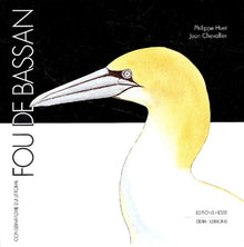 Les oiseaux du bord de mer