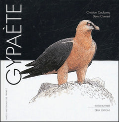 Gypaète