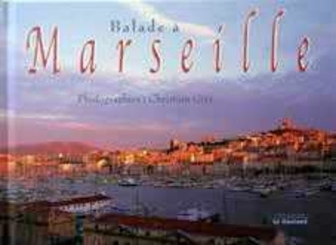 Balade a marseille goeland