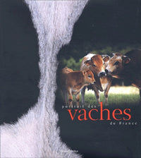 Portrait des vaches de France