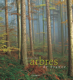 Portrait des arbres de France