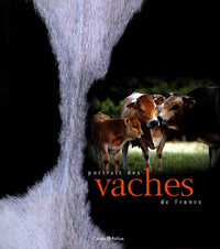 Portrait des vaches de France