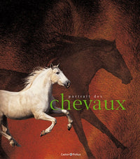 Portrait des chevaux