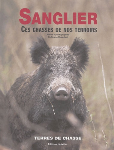 Sanglier: Ces chasses de nos terroirs