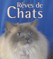 Rêves de chats