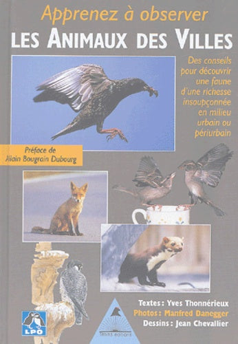 Apprenez à observer les animaux des villes