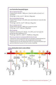 Cheval, techniques d'élevage