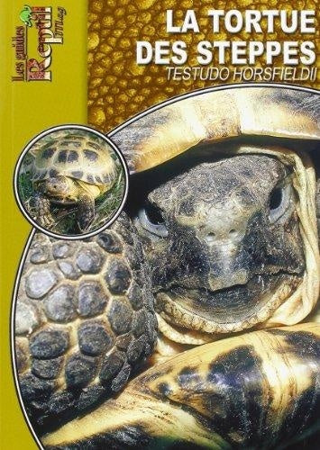 La tortue des steppes