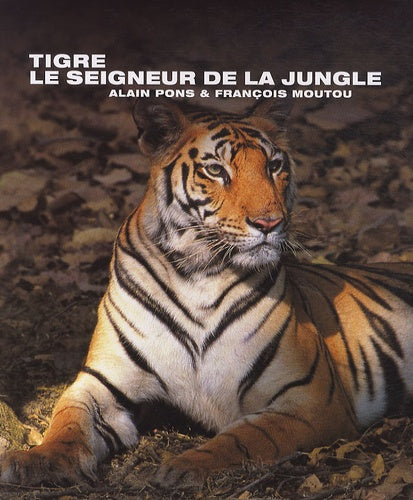 Tigre, le seigneur de la jungle