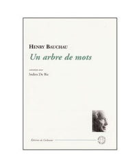 Un arbre de mots