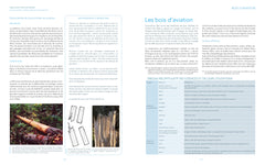 Bois d'aviation