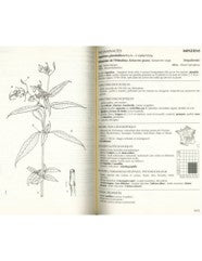 Flore forestière française Tome 1 - Plaines et collines (nouvelle édition)