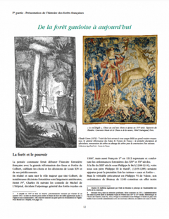 Histoire des forêts françaises