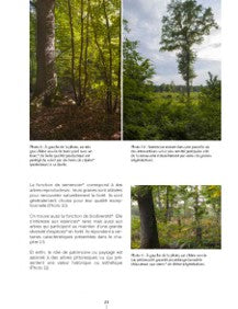 Un autre regard sur la forêt