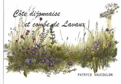 Côte dijonnaise et combe de Lavaux