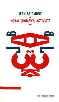 Noam Chomsky, activiste