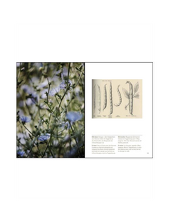 Les potagers historiques de la Suisse