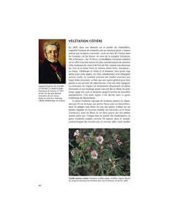 Flore et végétation de l'île d'El Hierro