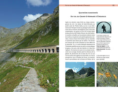 Voyage au Grand St Bernard