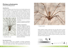 Araignées, guide de terrain