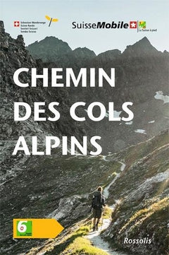 Chemin des cols alpins