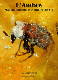 Ambre : Miel de fortune et mémoire de vie