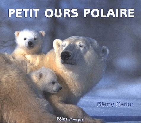 Petit ours polaire