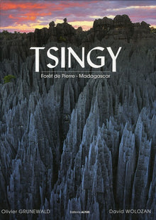 Tsingy: Forêt de pierre - Madagascar