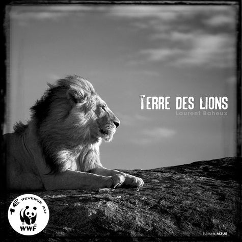 Terre des lions