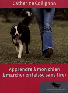 Apprendre à mon chien à marcher en laisse sans tirer