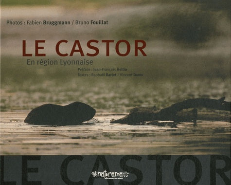Le castor: En région lyonnaise
