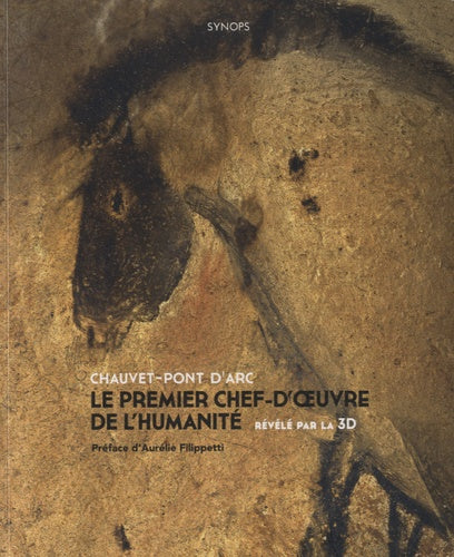 Chauvet-Pont d'Arc, le premier chef-d'oeuvre de l'humanité révélé par la 3D