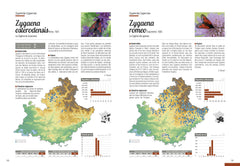 Atlas des papillons de jour & zygènes - Provence-Alpes-Côte d'Azur