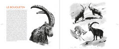 Bestiaire des alpes