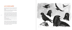 Bestiaire des alpes